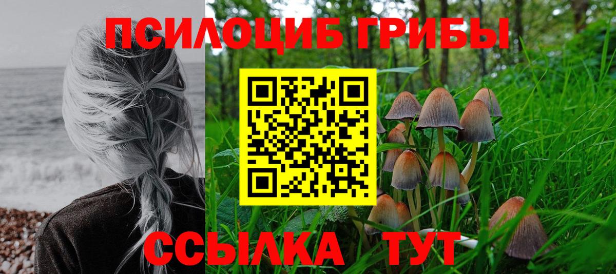 Псилоцибиновые грибы прущие грибы Дагестанские Огни