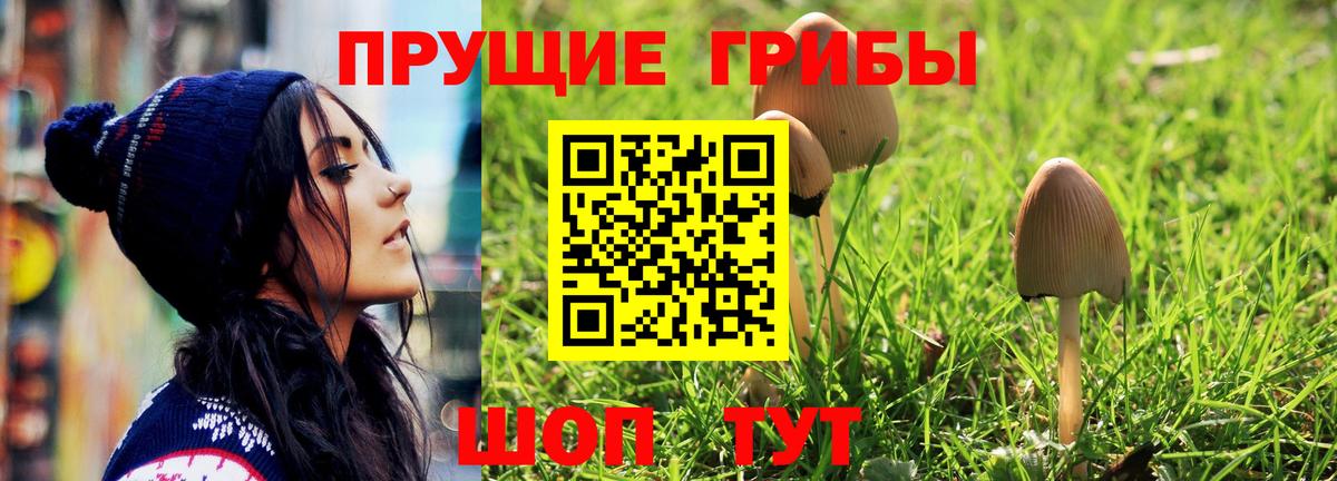 дарнет шоп  Псилоцибиновые грибы Psilocybe  Дагестанские Огни  Вход с VPN  Галлюциногенные грибы Cubensis 